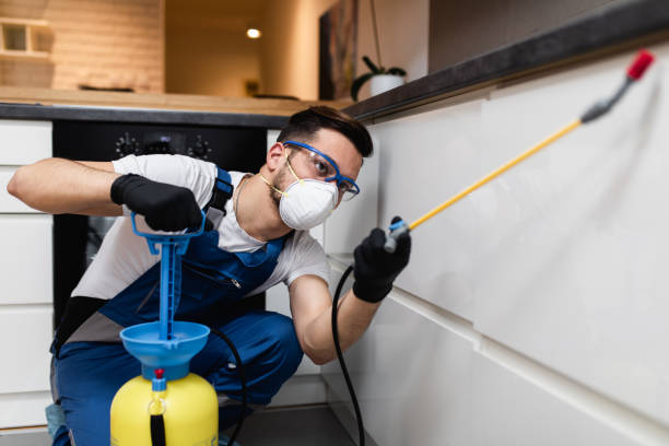 Best Wasp Removal Services  in Perry Hall, MD