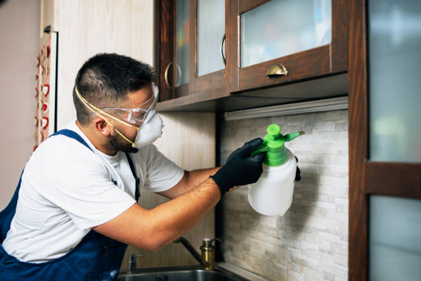 Best Best Pest Control Companies  in Perry Hall, MD