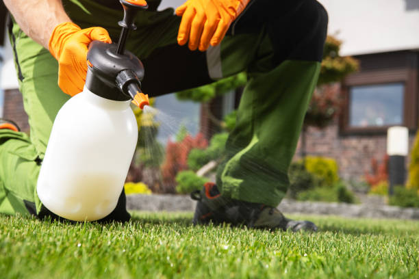Best Mosquito Control Services  in Perry Hall, MD