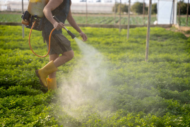 Best Commercial Pest Control Services  in Perry Hall, MD