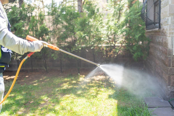 Best Bed Bug Extermination  in Perry Hall, MD
