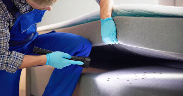 Best Cockroach Control Services  in Perry Hall, MD