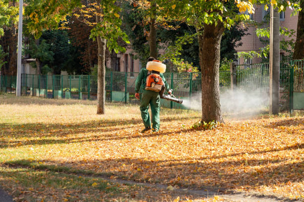 Wasp Removal Services in Perry Hall, MD