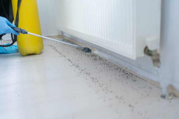 Best Pest Control for Restaurants  in Perry Hall, MD