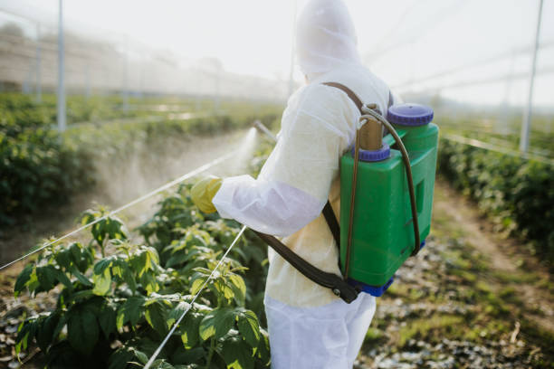 Pest Control for Restaurants in Perry Hall, MD
